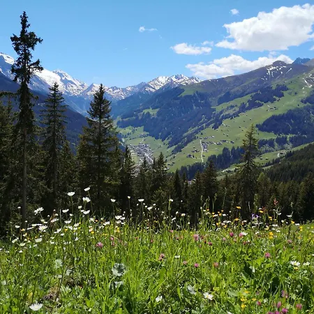 Martlerhof بيت للعطل تكس